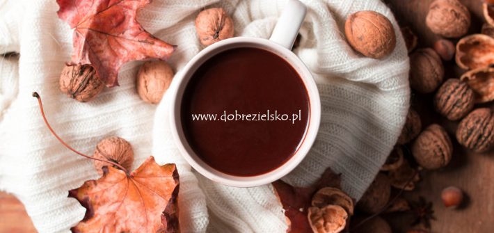 Gorąca rozgrzewająca czekolada