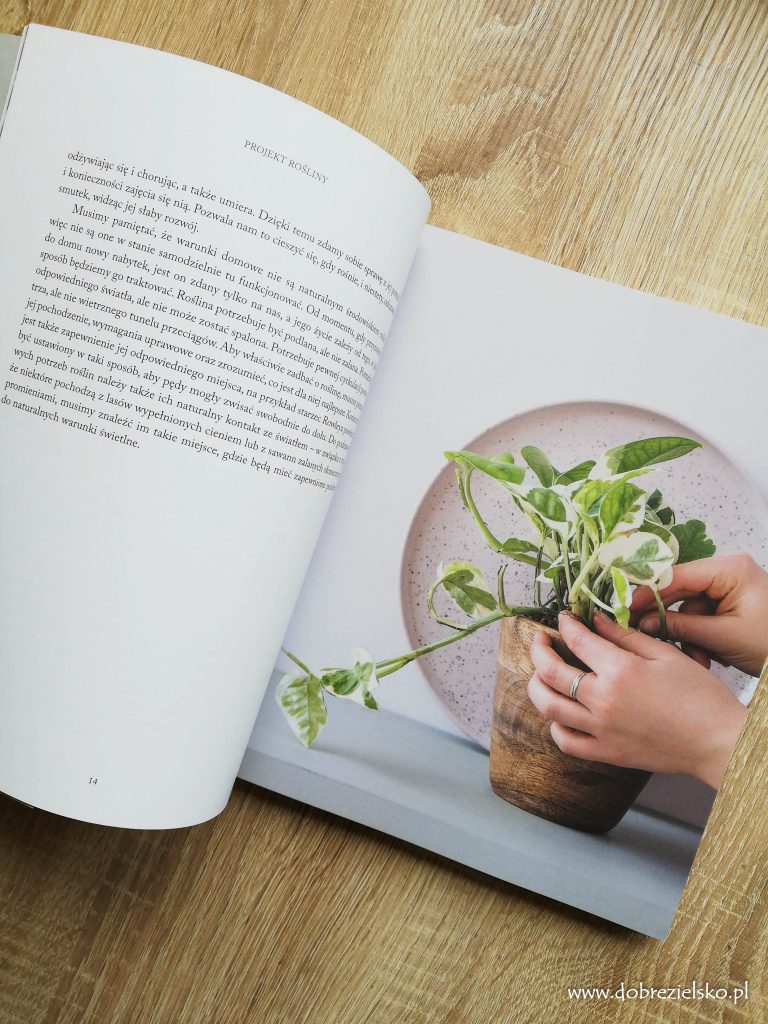 książka Projekt rośliny